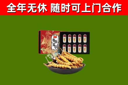 壶关回收冬虫夏草价格